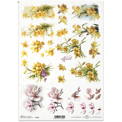 Ryžový papier na decoupage, A4, 3D kvety, narcisy a magnólie